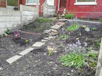 Picture 3